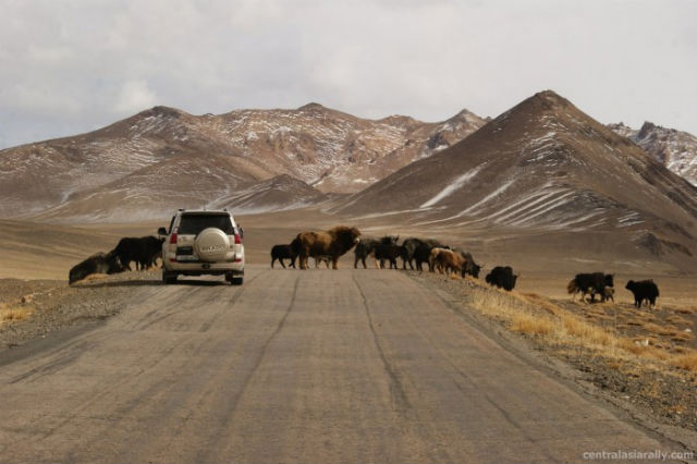 Driving in Central Asia 