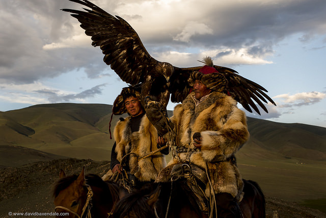 Hunting with Eagles in Central Asia