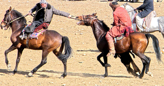 Buzkashi