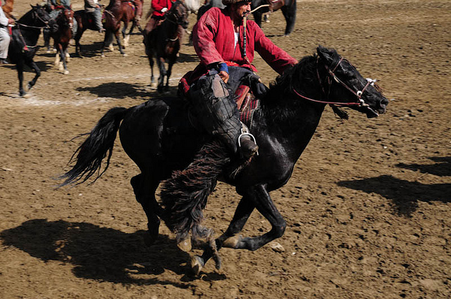 buzkashi