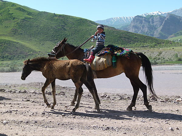 tony thorndike central asia rally