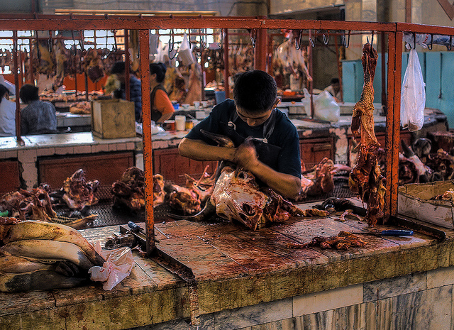 markets in central asia