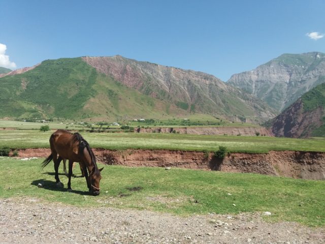 best from from the central asia rally