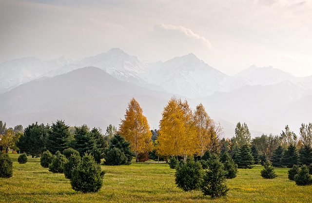 almaty